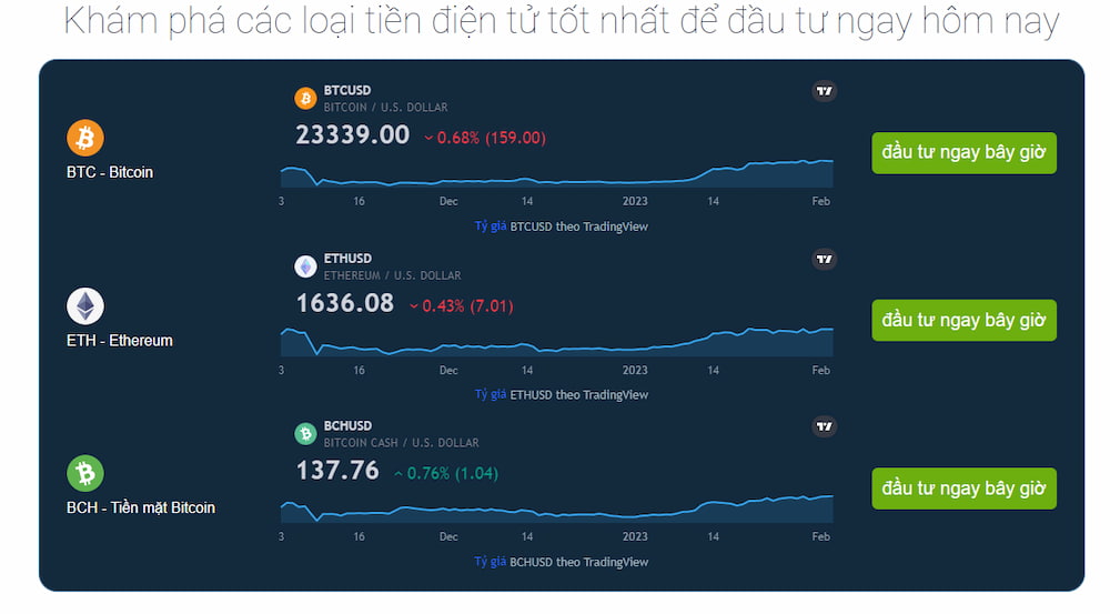 Bitcoiner có lừa đảo không