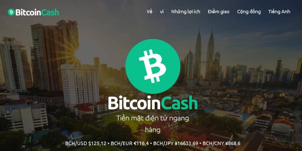 bitcoin cash là gì