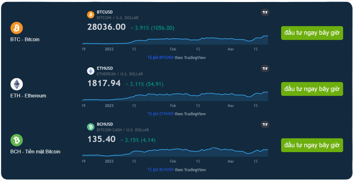 Bitcoin Bank vận hành như thế nào?