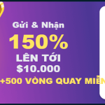 Wild.io Crypto Phòng trưng bày