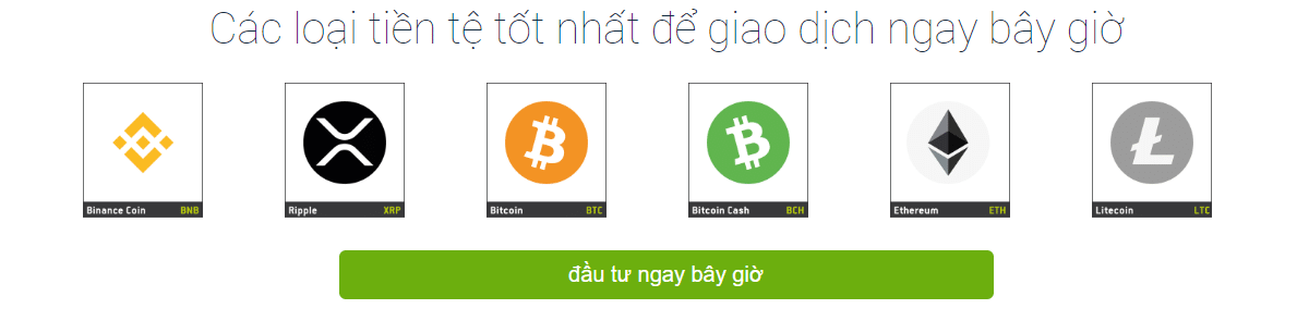 Crypto Legacy Pro Hỗ trợ nhiều loại tài sản