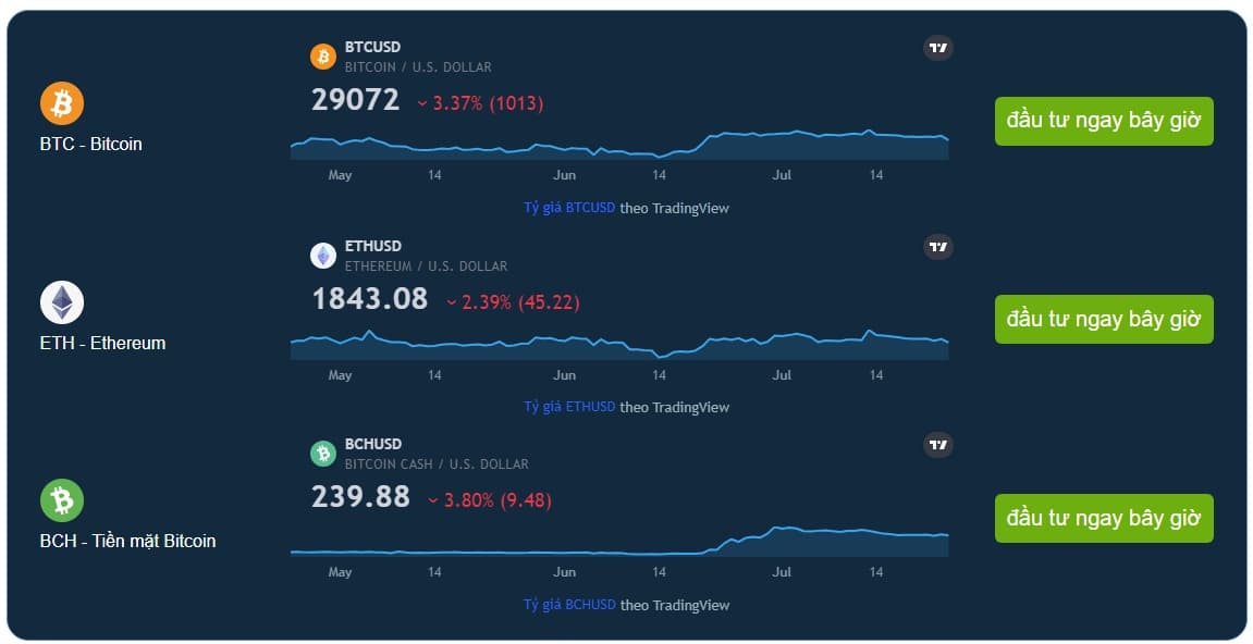 Crypto Nation Pro Bot Work