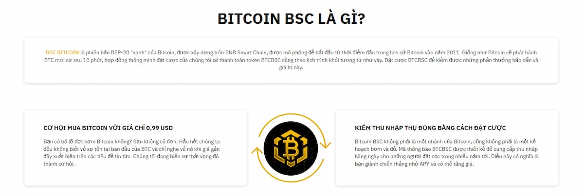 Bitcoin BSC Là Gì