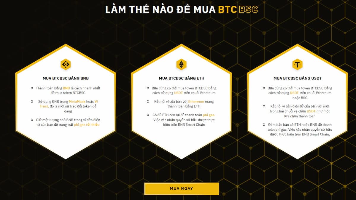 Dự Đoán Giá Bitcoin BSC Vào Năm 2030