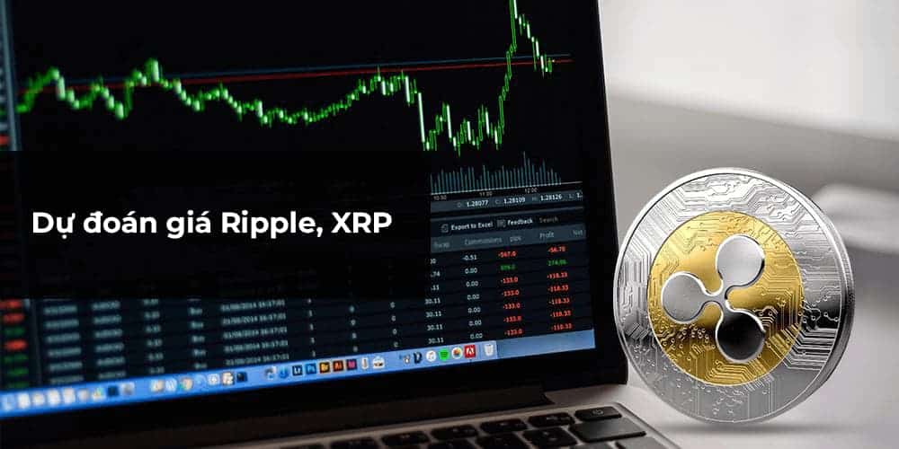 dự đoán giá ripple