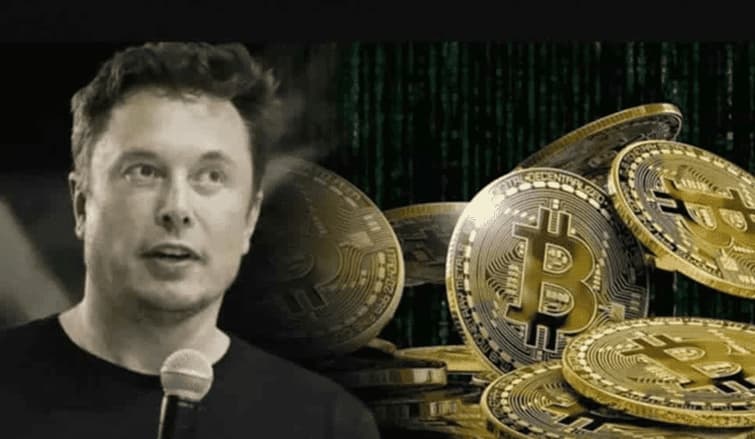 elon musk có ủng hộ bitsoft 360 không