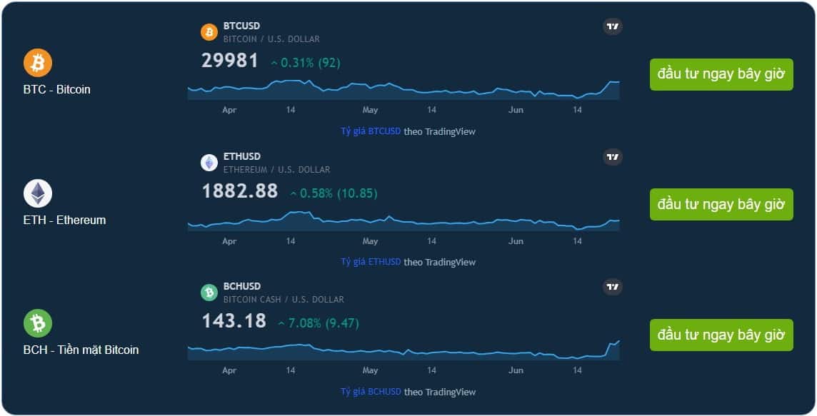 profit builder hoạt động như thế nào