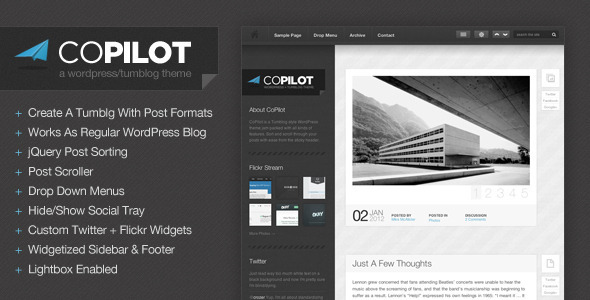 CoPilot WordPress and Tumblog Theme