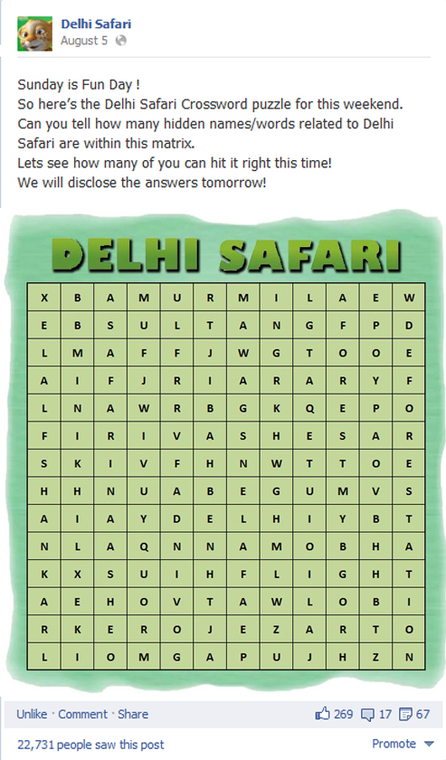 How Delhi Safari Maximised Facebook Engagement With Images And Games