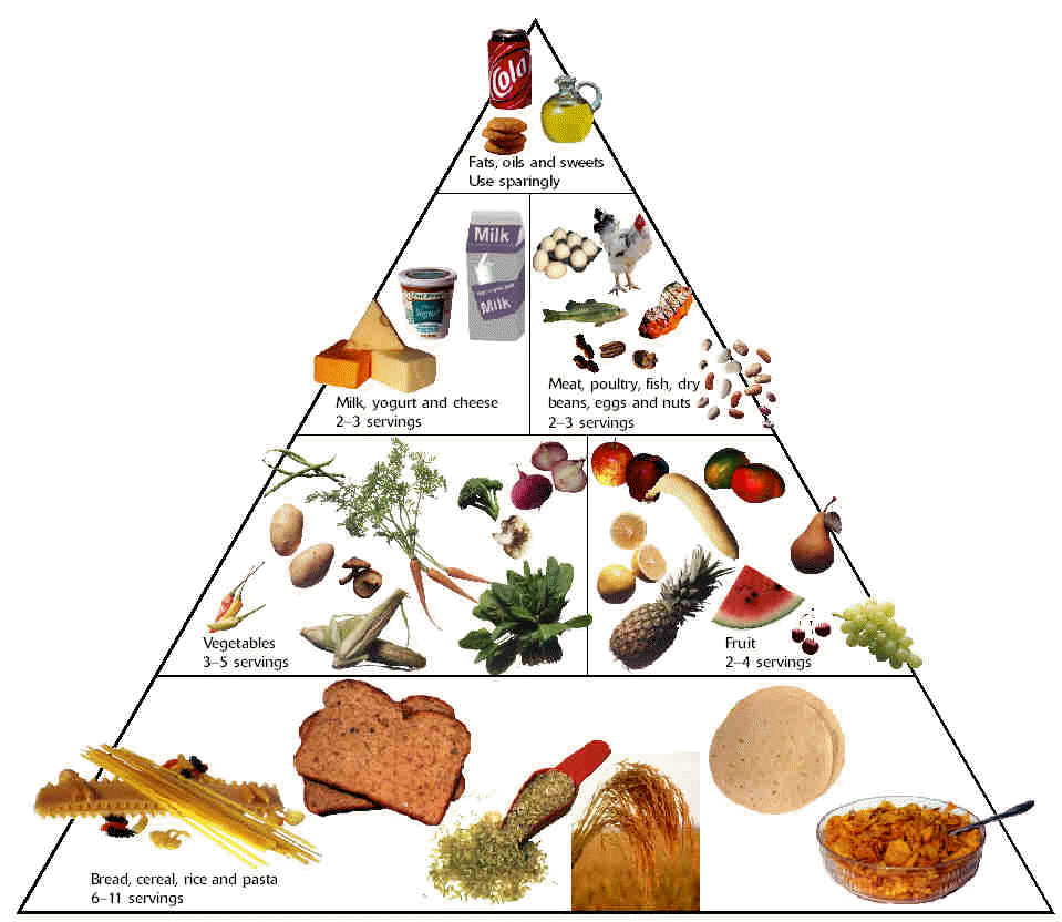healthy food brands