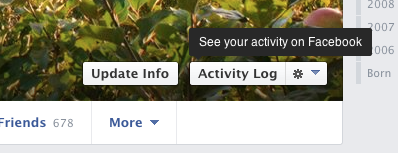 Disable Facebook Graph Search