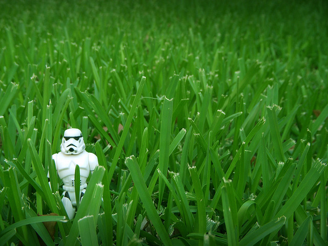 lawn-trooper