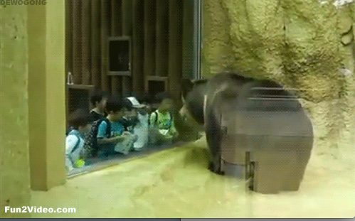 Bear with kids