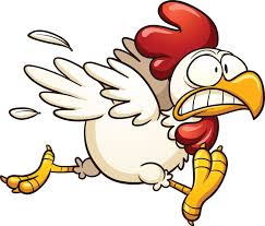 Failure To Launch! Is Your Startup Chicken S#!T or Procrastinating? -  Business 2 Community