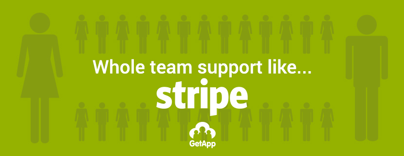 whole team support like stripe