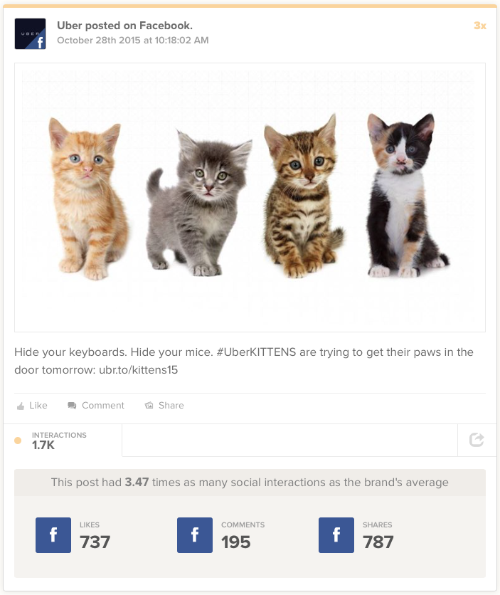 Inside Uber’s Effective (And Adorable) UberKITTENS Campaign