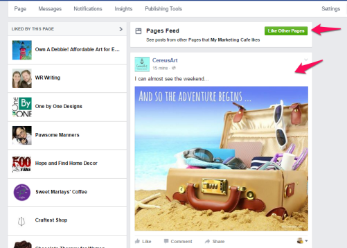 Facebook Business Page Newsfeed