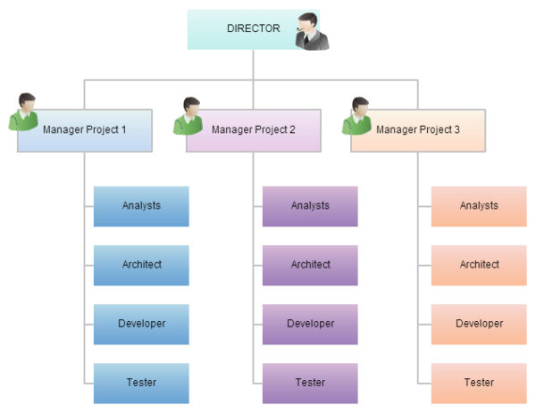 How to Create the Organizational Chart You Know Your Business Needs ...