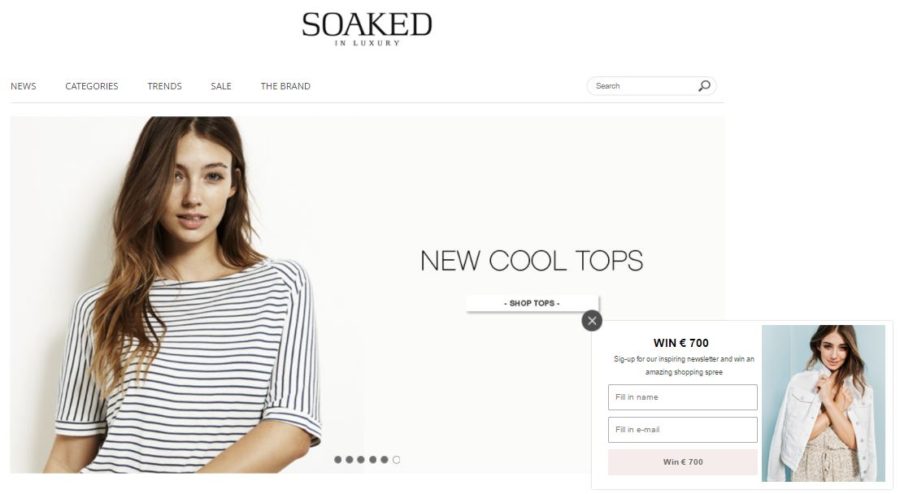 7 Examples of E-Commerce Popups Done Right - Business2Community