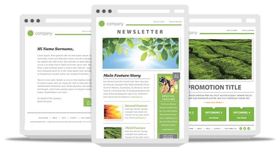 Newsletter Template Best Practices To Increase Your Email Engagement -  Business2Community