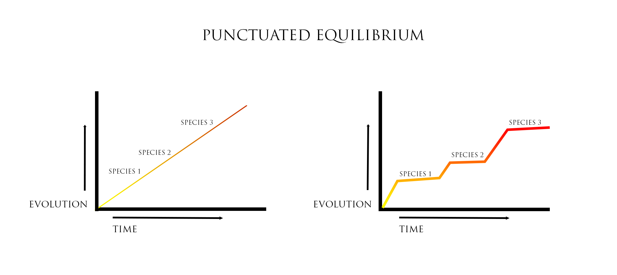 punctuated equilibrium model of group development