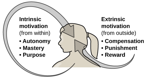 internal-external-motivation