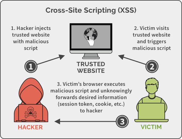 Cross Site Scripting XSS 