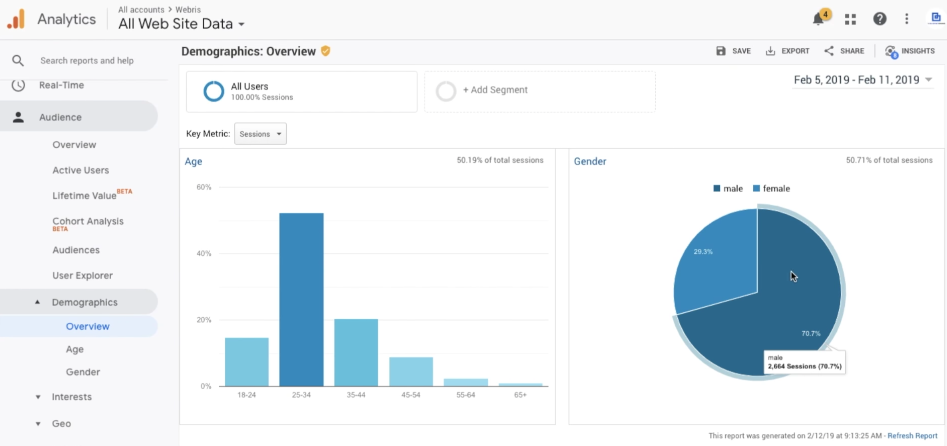 google analytics audience reporting