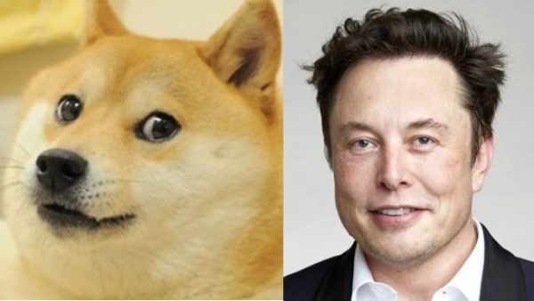 elon musk dogecoin