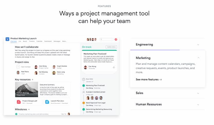 asana project management