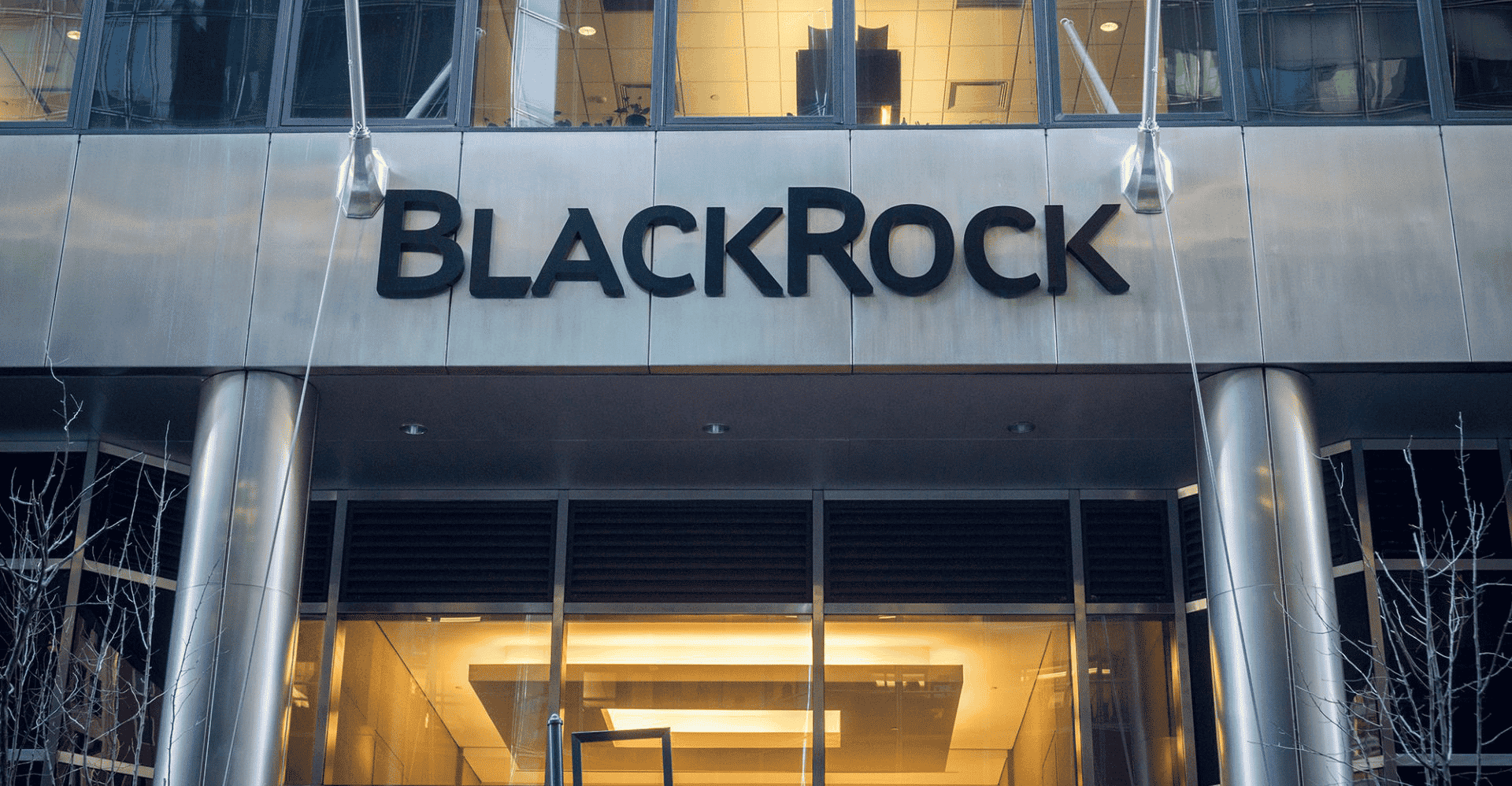 blackrock spot bitcoin private trust