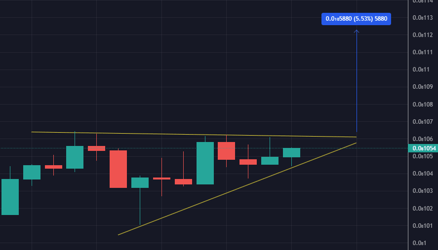 rich quack crypto price prediction