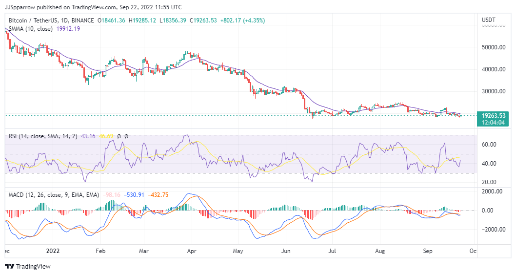 BTC Price Chart