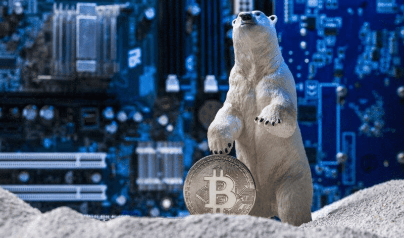 Crypto Winter