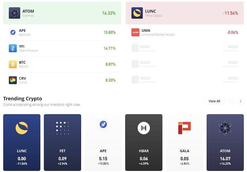 What is the Best Crypto Portfolio Allocation in 2024?