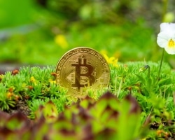 greenest crypto currency