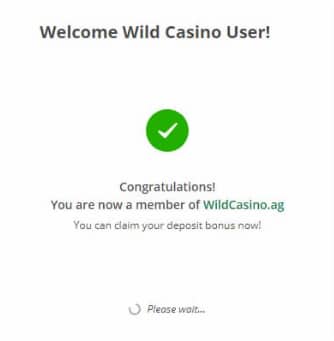 Account Created at Wild Casino Blackjack App