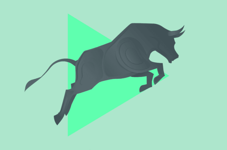 bull market crypto