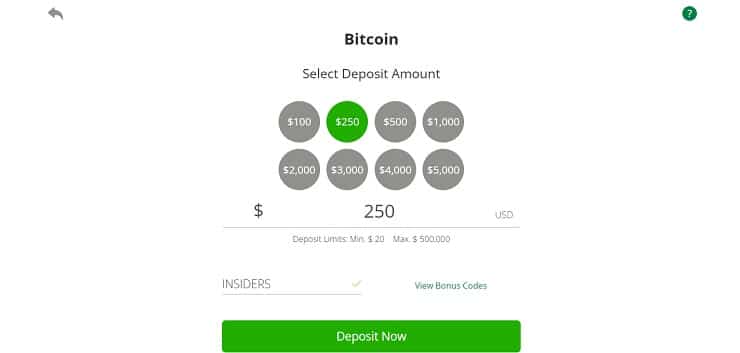 Wild Casino Bitcoin Deposit Page