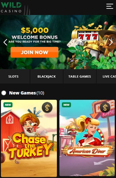 Wild Casino Real Money Blackjack App Games