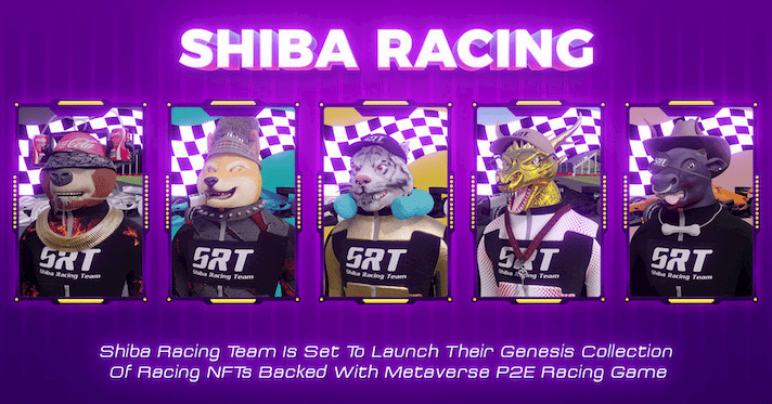 Shiba_Racing_Team