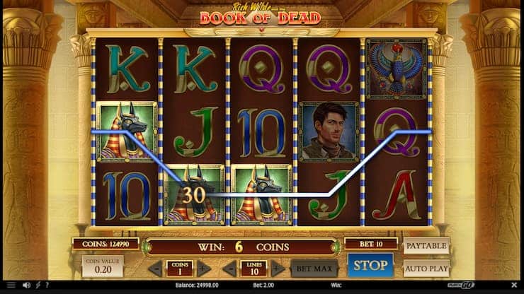 Book of Dead Slot