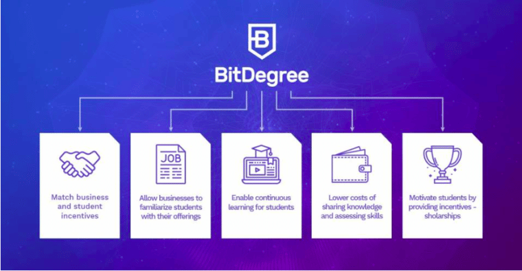 BitDegree home