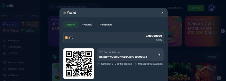 Wild.io Casino Wallet