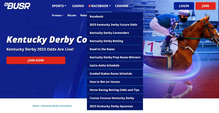 BUSR Review for 2023: Expert Review of BUSR's Casino, Racebook