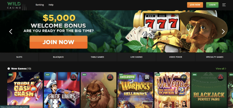 Wild Casino Homepage