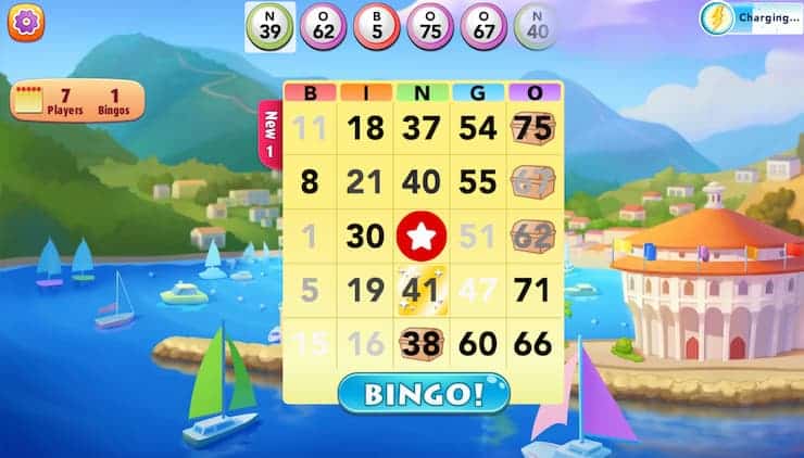 Bingo Blitz Options