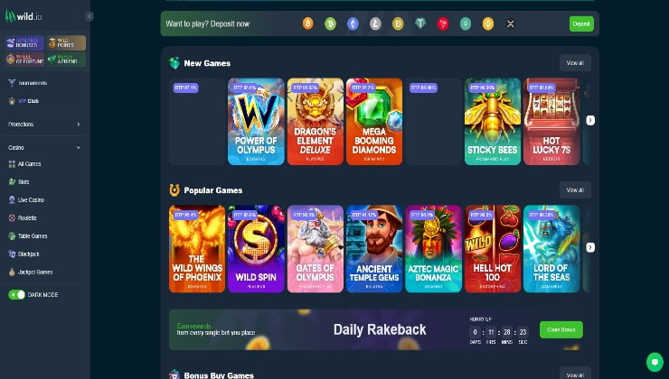 Wild Casino’s online homepage