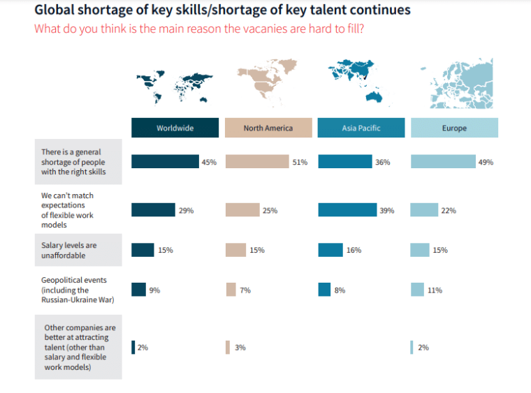 Ai Talent Shortages