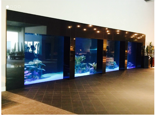 aquarium in furniture store